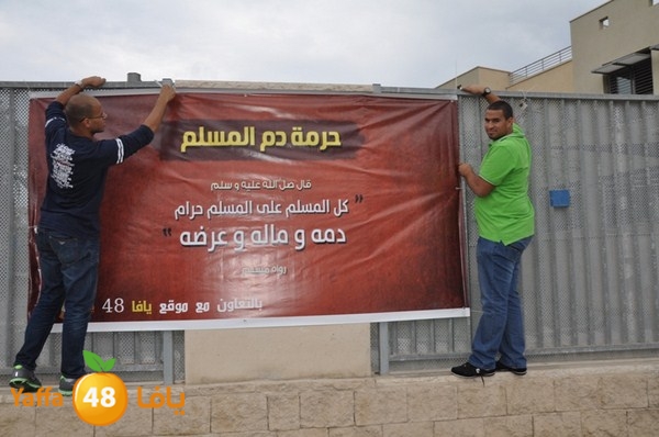 3onfyaffa48 (15).JPG